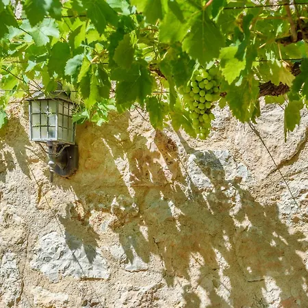 Villa Solivellas Pollença